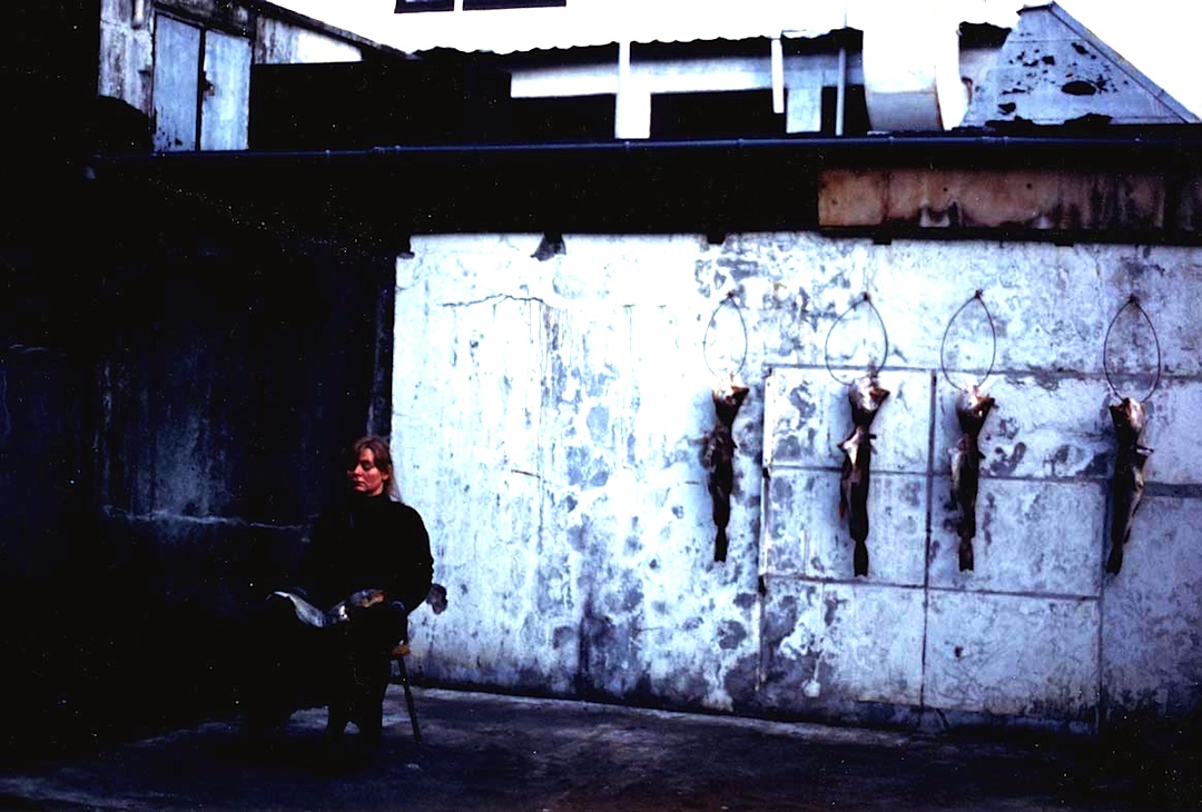 In The Garden II Reykavik Festival Installation and video 1989